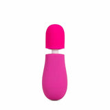 Rose Petite Massage Wand Pink