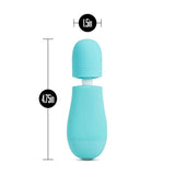 Rose Petite Massage Wand Blue